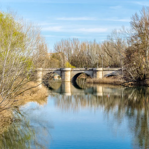 Ponte Medievale Pietra Sul Fiume Carrion Palencia Castiglia Leon Spagna — Foto Stock