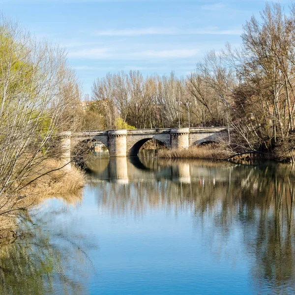 Puente Medieval Piedra Sobre Río Carrión Palencia Castilla León España — Foto de Stock