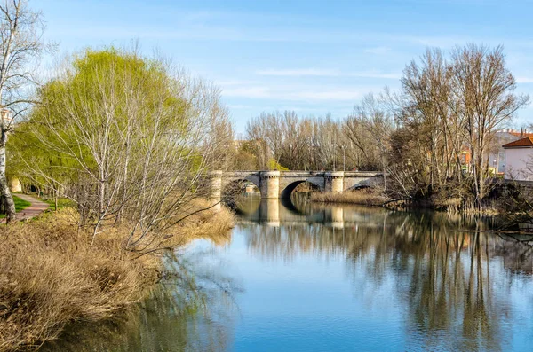 Ponte Pedra Medieval Sobre Rio Carrion Palencia Castela Leão Espanha — Fotografia de Stock