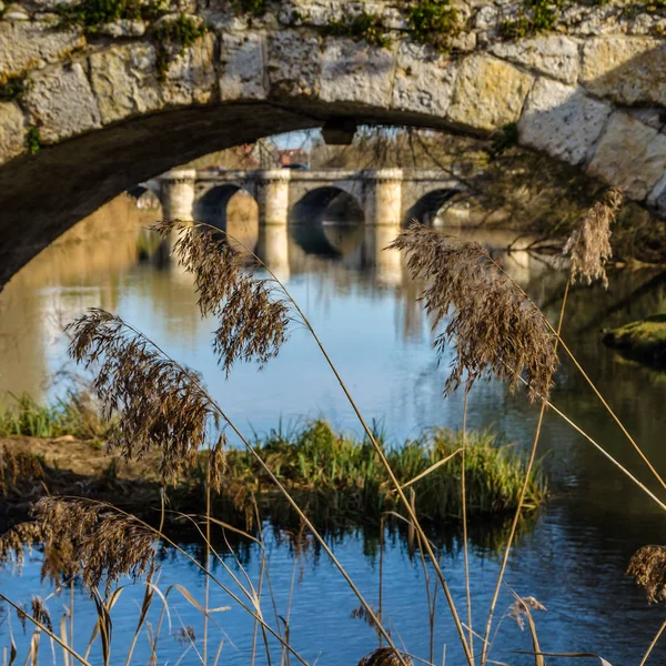 Ponte Pedra Medieval Sobre Rio Carrion Palencia Castela Leão Espanha — Fotografia de Stock