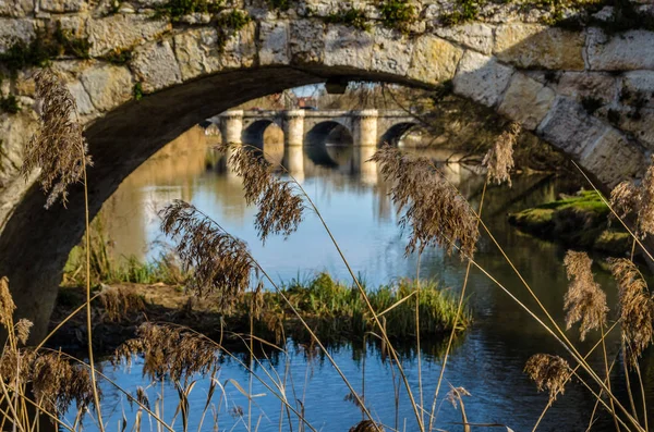 Ponte Pedra Medieval Sobre Rio Carrion Palencia Castela Leão Espanha — Fotografia de Stock