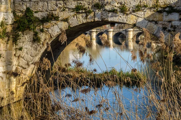 Ortaçağ Taş Köprü Leş Nehri Palencia Kastilya Leon Spanya — Stok fotoğraf