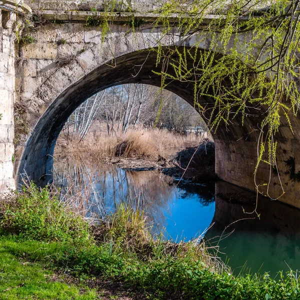 Ponte Pedra Medieval Sobre Rio Carrion Palencia Castela Leão Espanha — Fotografia de Stock