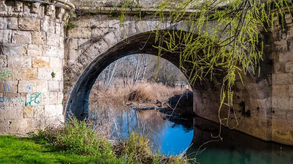Medieval Stone Bridge Carrion River Palencia Castile Leon Spain — Stock Photo, Image