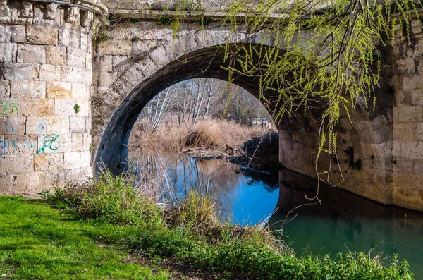 Średniowieczny Kamienny Most Rzece Padliny Palencii Kastylia Leon Hiszpania — Zdjęcie stockowe