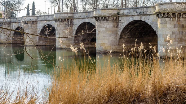 Ponte Pedra Medieval Sobre Rio Carrion Palencia Castela Leão Espanha — Fotografia de Stock