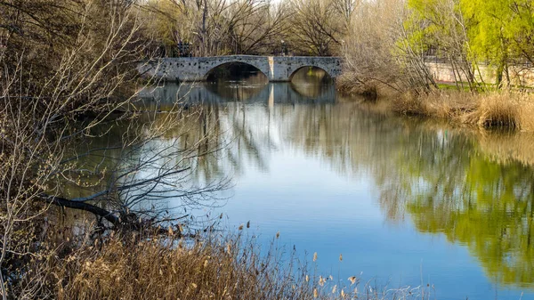 Puente Medieval Piedra Sobre Río Carrión Palencia Castilla León España —  Fotos de Stock