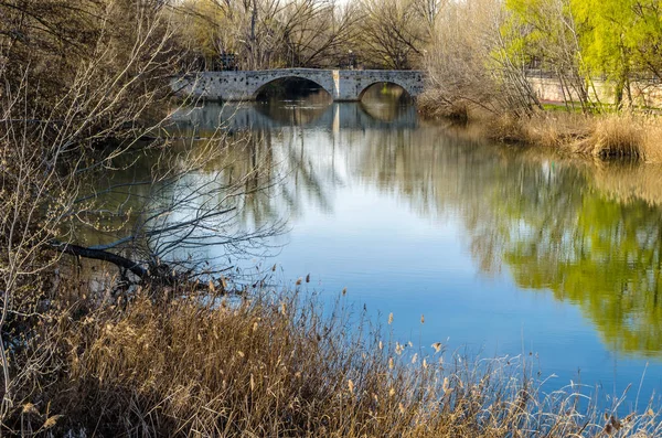 Ponte Medievale Pietra Sul Fiume Carrion Palencia Castiglia Leon Spagna — Foto Stock