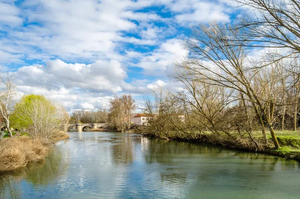 Puente Medieval Piedra Sobre Río Carrión Palencia Castilla León España —  Fotos de Stock