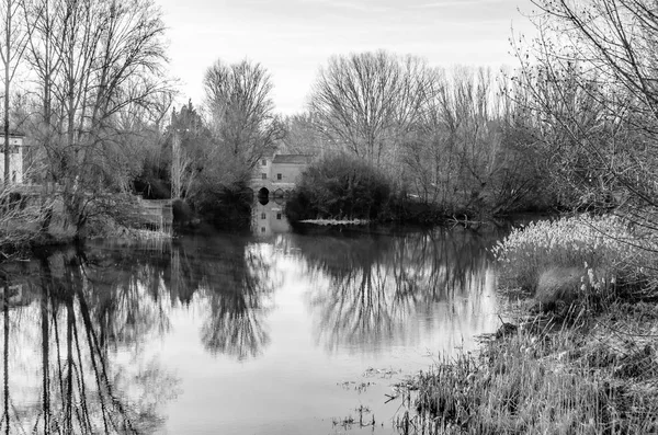 Veduta Del Fiume Carrion Nella Città Palencia Castiglia Leon Spagna — Foto Stock