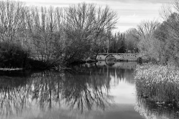 Vista Rio Carrion Cidade Palencia Castela Leão Espanha Imagem Preto — Fotografia de Stock