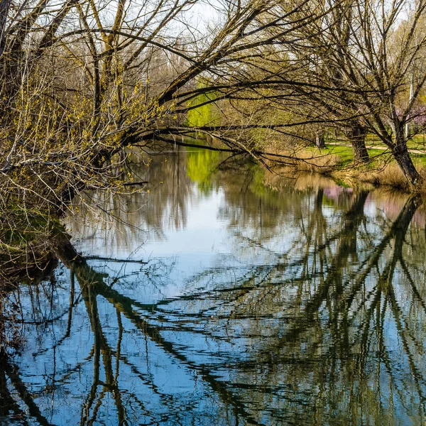 Перегляд Падло Річки Місті Паленсія Кантабрія Іспанія — стокове фото