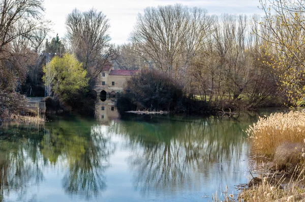 Pohled Řeku Mršiny Městě Palencia Kastilie León Španělsko — Stock fotografie