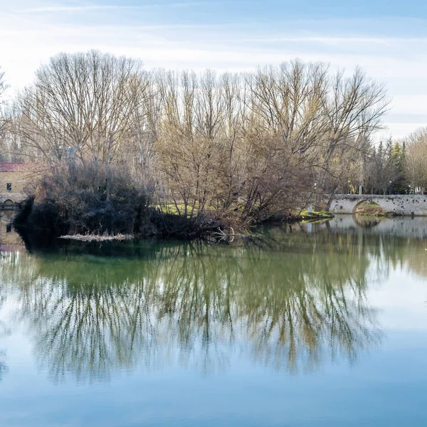 Veduta Del Fiume Carrion Nella Città Palencia Castiglia Leon Spagna — Foto Stock