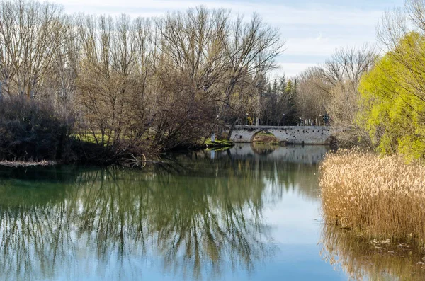パレンシア市 カスティーリャ レオン で腐肉川の眺めスペイン — ストック写真