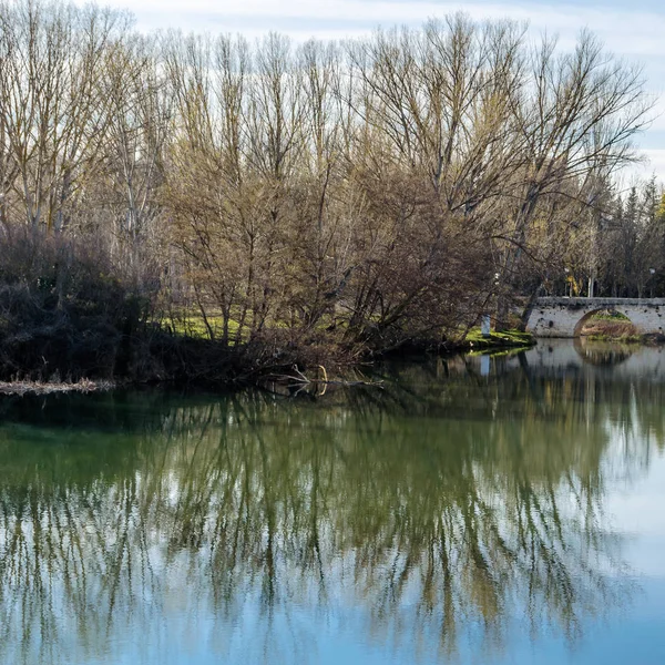 Blick Auf Den Aasfluss Der Stadt Palencia Kastilien Und León — Stockfoto