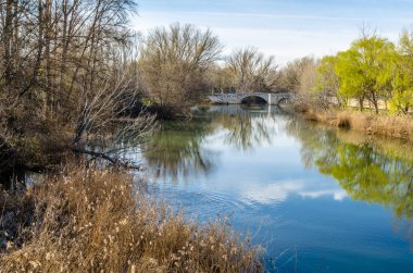 Leş nehre (Kastilya ve Leon), Palencia şehir görünümünü İspanya