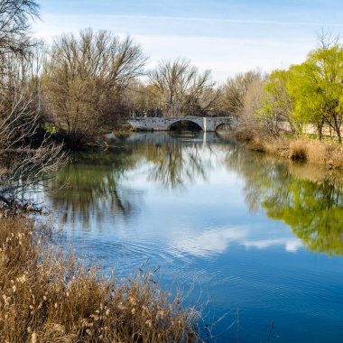 Leş nehre (Kastilya ve Leon), Palencia şehir görünümünü İspanya