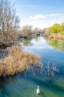 Leş nehre (Kastilya ve Leon), Palencia şehir görünümünü İspanya