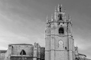 Gotik Katedrali Palencia, İspanya (siyah beyaz resim)