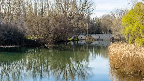 Vista Rio Carrion Cidade Palencia Castela Leão Espanha — Fotografia de Stock