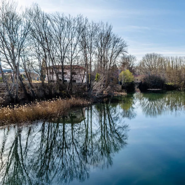 Utsikt Över Floden Kadaver Staden Palencia Kastilien Och Leon Spanien — Stockfoto