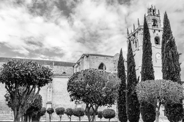 Vista Catedral Gótica Palencia Espanha Imagem Preto Branco — Fotografia de Stock