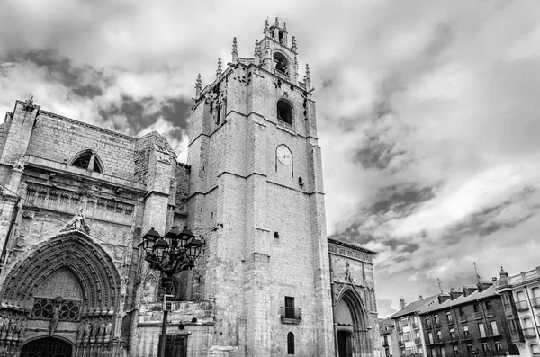 Vista Catedral Gótica Palencia España Imagen Blanco Negro —  Fotos de Stock