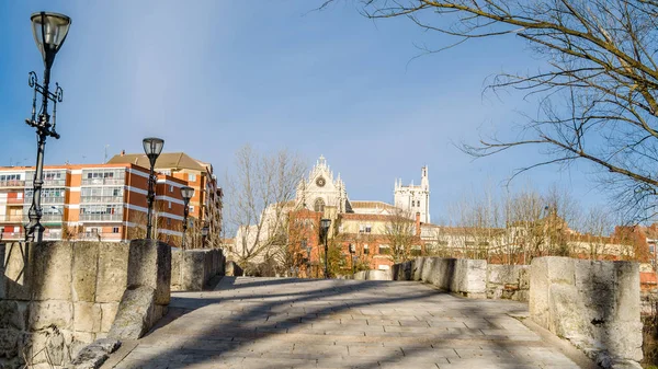 Uitzicht Gotische Kathedraal Van Palencia Vanaf Middeleeuwse Brug — Stockfoto