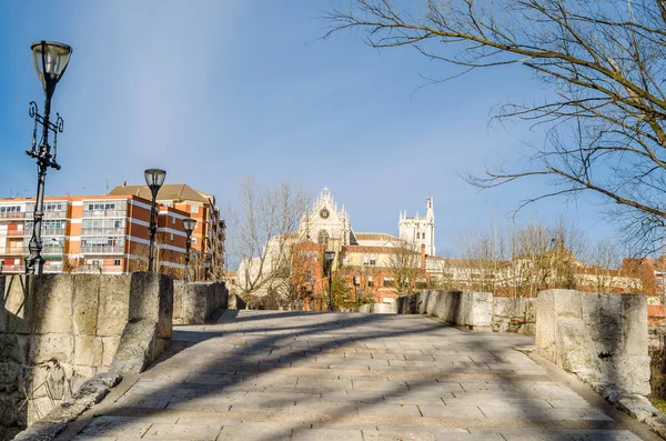 Uitzicht Gotische Kathedraal Van Palencia Vanaf Middeleeuwse Brug — Stockfoto