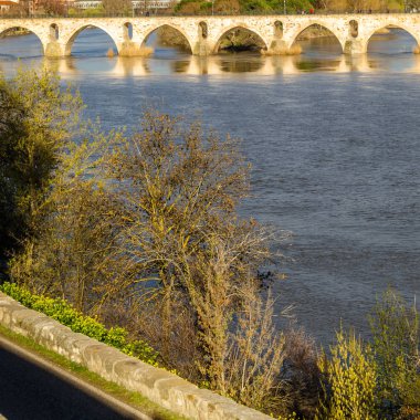Zamora, İspanya Duero Nehri üzerinde Ortaçağ taş köprü görünümü
