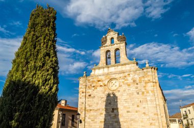 Zamora (Kastilya ve Leon), kulede iç içe leylek ile eski bir Romanesk kilise görünümünü İspanya