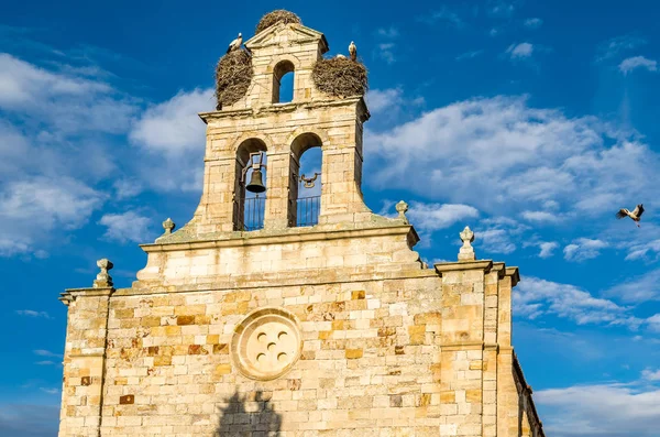 Vista Una Antigua Iglesia Románica Con Cigüeñas Anidando Torre Zamora — Foto de Stock