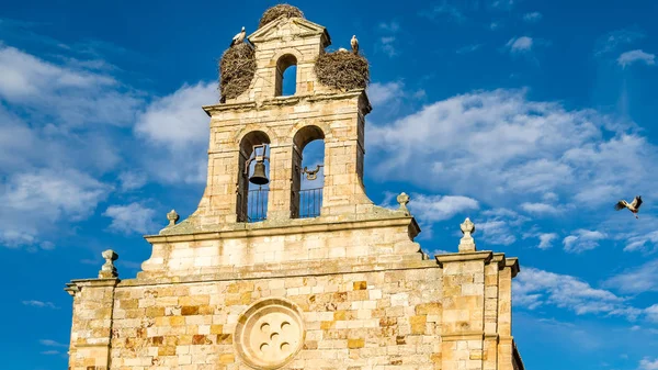 Vista Una Antigua Iglesia Románica Con Cigüeñas Anidando Torre Zamora —  Fotos de Stock