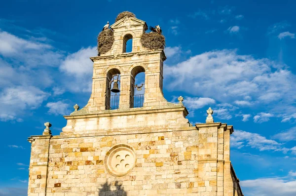 Vista Una Antigua Iglesia Románica Con Cigüeñas Anidando Torre Zamora —  Fotos de Stock