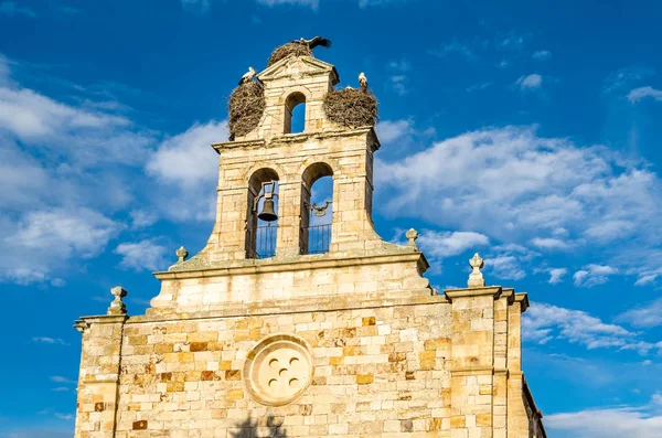 자모에 타워에 둥지와 로마네스크 교회의 스페인 — 스톡 사진
