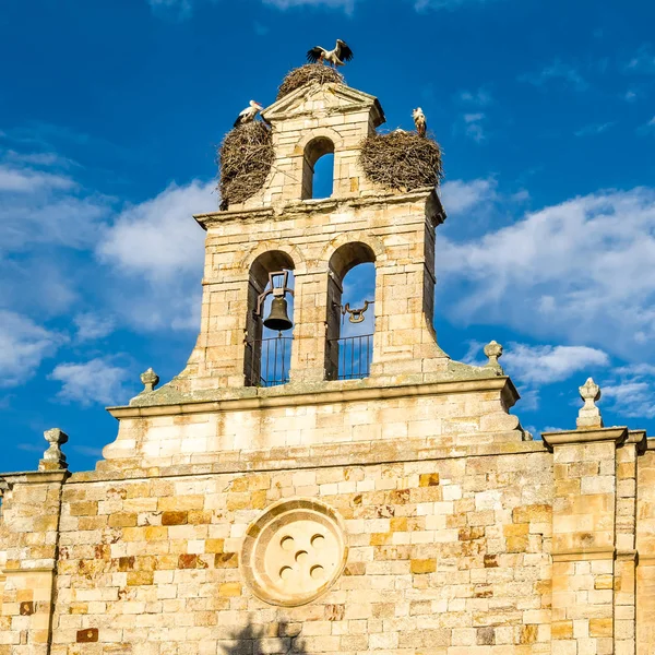 Vista Una Antigua Iglesia Románica Con Cigüeñas Anidando Torre Zamora —  Fotos de Stock