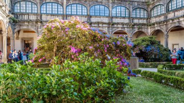 Santiago De Compostela, İspanya - 3 Nisan 2015: Camelia sergi cloister, güzel Binası Pazo de Fonseca Santiago de Compostela, Galiçya, İspanya içinde çiçeklenir