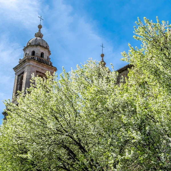Kerk Santiago Compostela Galicië Noord Spanje — Stockfoto