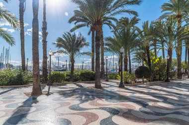İspanya 'nın Alicante kentindeki Paseo de la Explanada' nın manzarası, şehrin en popüler yaya yollarından biri.