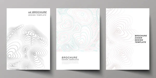 De vectorillustratie van bewerkbare indeling van A4 formaat cover testmodellen ontwerpsjablonen voor brochure, magazine, flyer, brochure, jaarverslag. Topografische kaart van de contour, abstracte monochrome achtergrond. — Stockvector