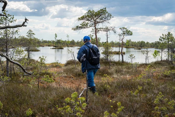 Ein Tourist Läuft Durch Einen Sumpf Dem Sümpfe Liegen Jelnia — Stockfoto