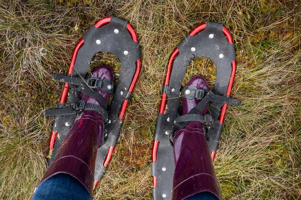Yelnia Bataklığı Belarus Bacaklarım Lastik Botlar Içinde Bataklıkta Dolaşmak Için — Stok fotoğraf