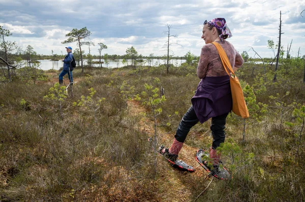 Turister Utforska Naturen Den Höga Mossen Turister Går Genom Träsket — Stockfoto