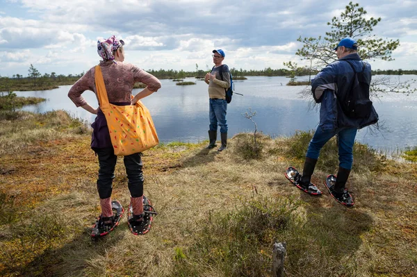 Turister Rutt Ekologisk Led Hög Mosse Genom Träsket Med Hjälp — Stockfoto