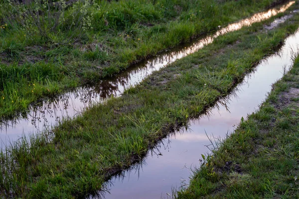 Water-filled track on a forest road with reflections. Sunset view. Yelnia Bog, Vitebsk region, Belarus