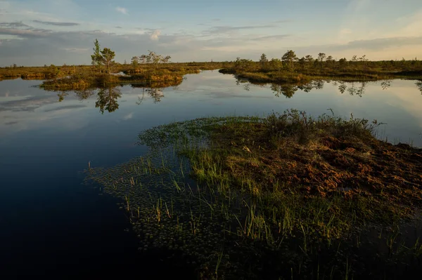 Yelnia Bog Región Vitebsk Bielorrusia Vista Del Lago Entre Los — Foto de Stock