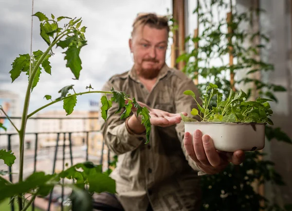 The gardener works in a mini-garden on the balcony. A man is gardening in a city apartment.