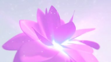 Pembe çiçek arkaplanı