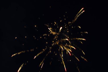 Havai fişek çok renkli eğlenceli ve neşeli.